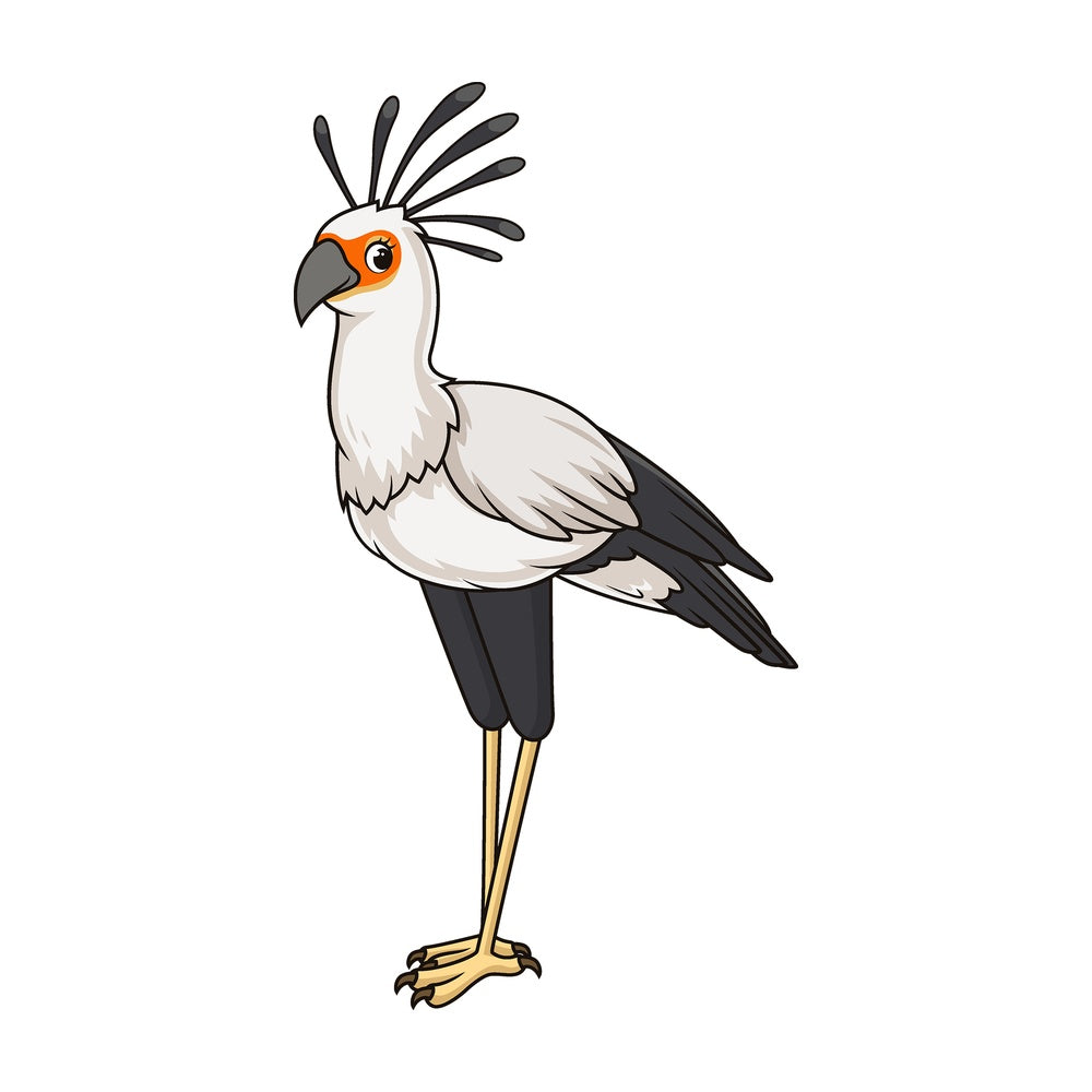 Cartoon secretary bird. PNG - JPG and vector EPS file formats (infinitely scalable). Image isolated on transparent background.