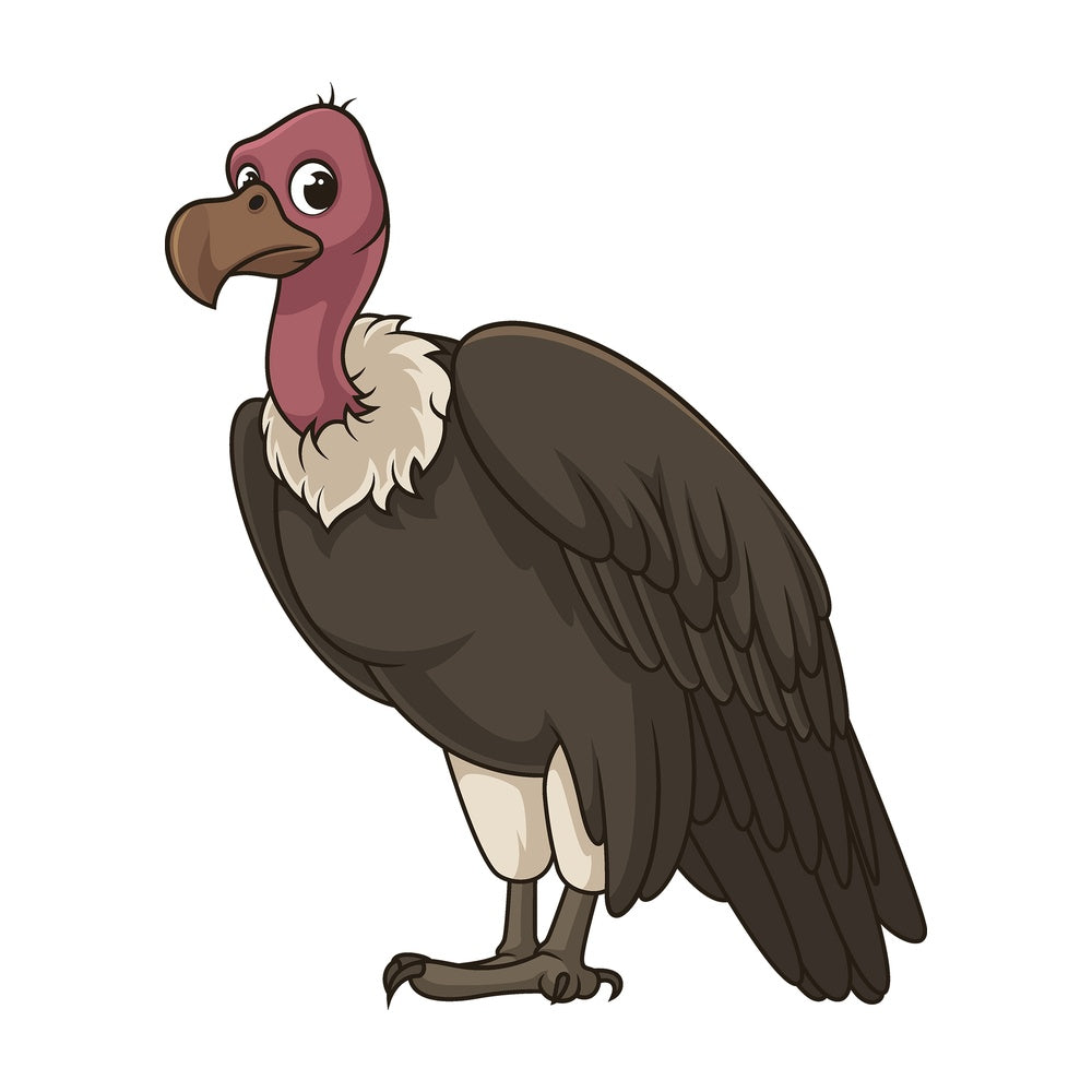 Cartoon vulture bird. PNG - JPG and vector EPS file formats (infinitely scalable). Image isolated on transparent background.