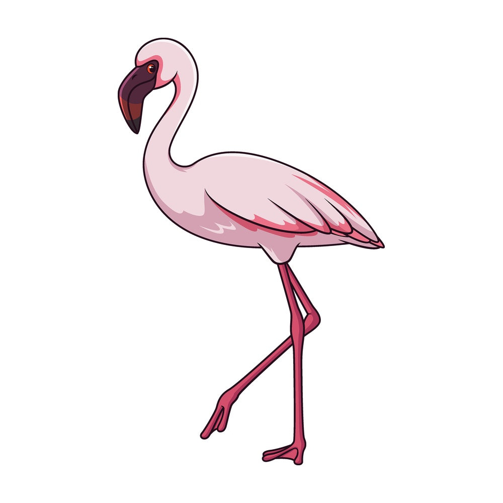 Cartoon lesser flamingo. PNG - JPG and vector EPS file formats (infinitely scalable). Image isolated on transparent background.