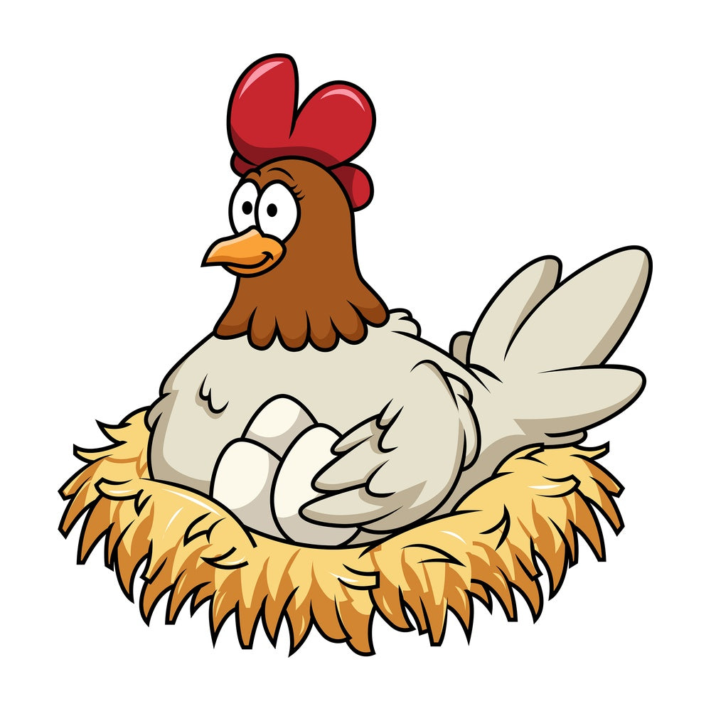 Hen in nest with eggs. PNG - JPG and vector EPS file formats (infinitely scalable). Image isolated on transparent background.