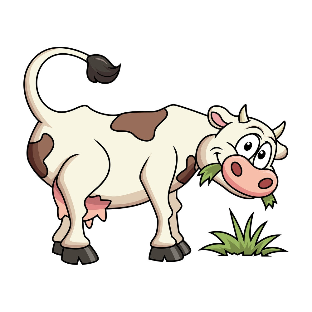 Farm cow eating grass. PNG - JPG and vector EPS file formats (infinitely scalable). Image isolated on transparent background.