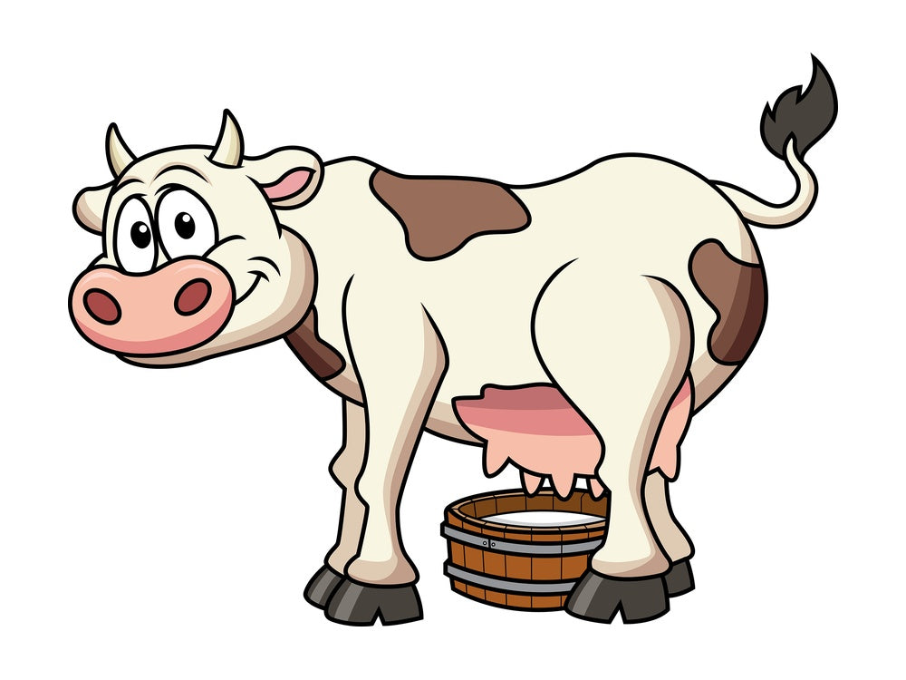 Happy cow milking. PNG - JPG and vector EPS file formats (infinitely scalable). Image isolated on transparent background.
