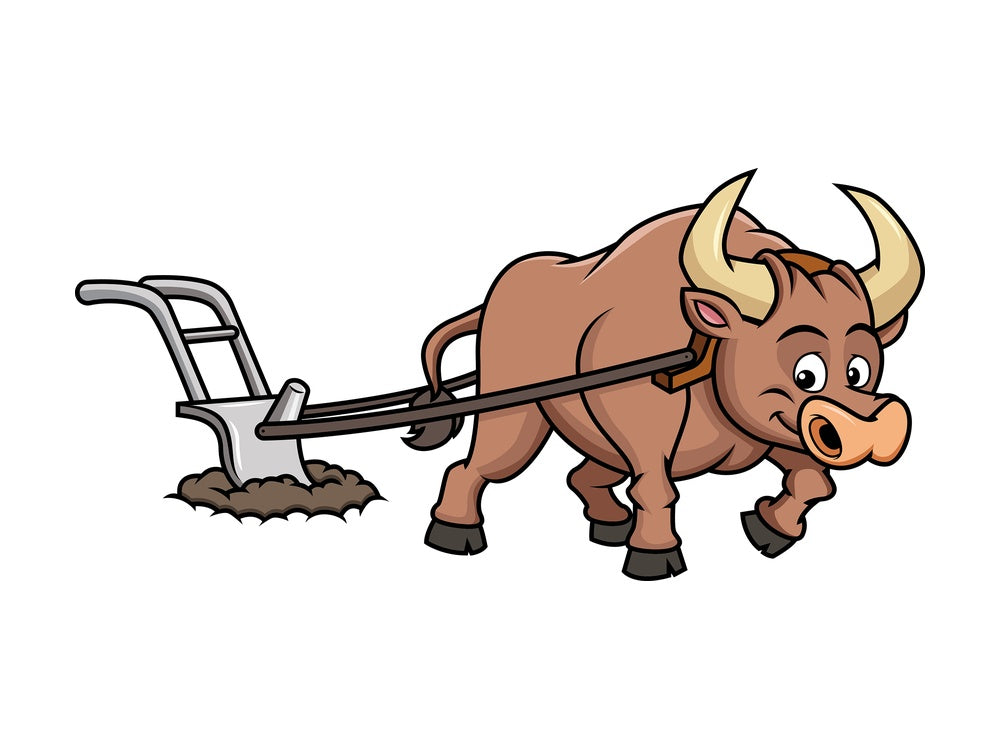 Happy ox plowing field. PNG - JPG and vector EPS file formats (infinitely scalable). Image isolated on transparent background.