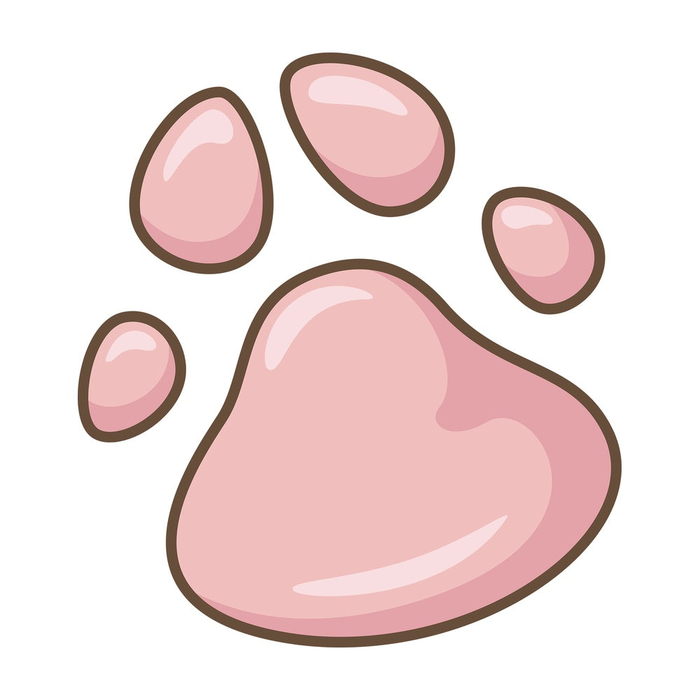 Cat paw print. PNG - JPG and vector EPS file formats (infinitely scalable). Image isolated on transparent background.