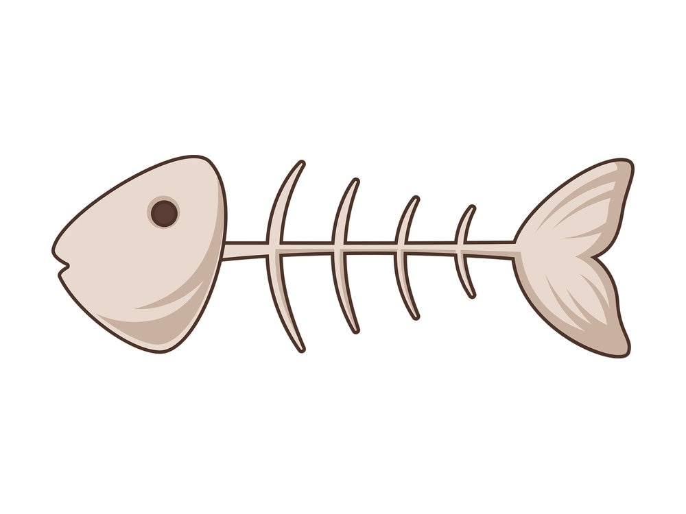 Cartoon fishbone. PNG - JPG and vector EPS file formats (infinitely scalable). Image isolated on transparent background.