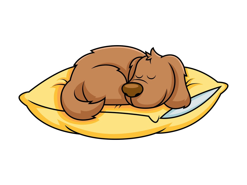 Dog cartoon sleeping on pillow. PNG - JPG and vector EPS file formats (infinitely scalable). Image isolated on transparent background.