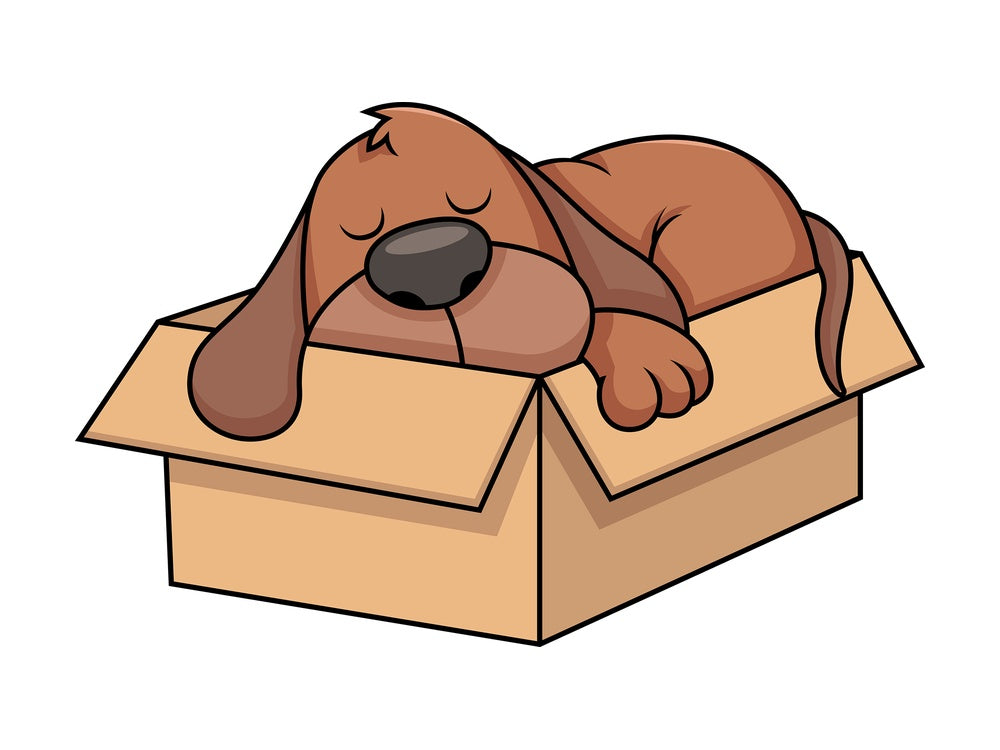 Stray dog napping in box. PNG - JPG and vector EPS file formats (infinitely scalable). Image isolated on transparent background.