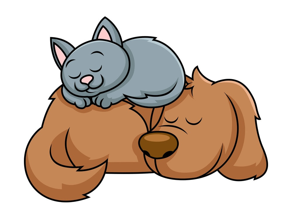 Dog and cat sleeping together. PNG - JPG and vector EPS file formats (infinitely scalable). Image isolated on transparent background.