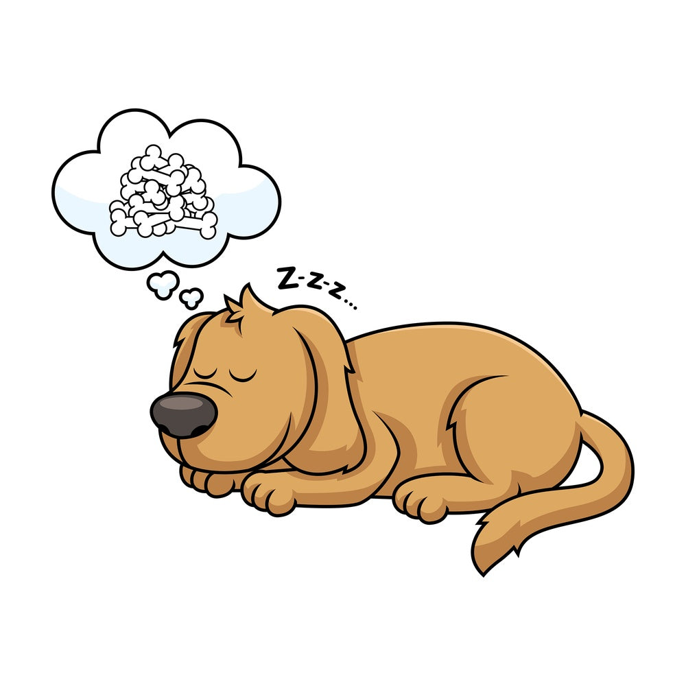 Sleeping dog dreaming of bones. PNG - JPG and vector EPS file formats (infinitely scalable). Image isolated on transparent background.