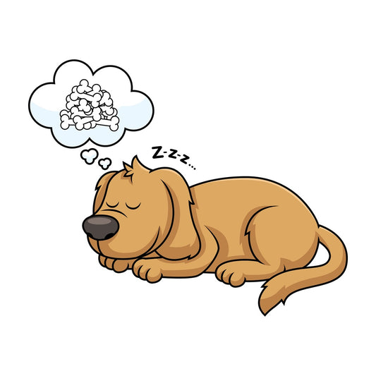 Sleeping dog dreaming of bones. PNG - JPG and vector EPS file formats (infinitely scalable). Image isolated on transparent background.