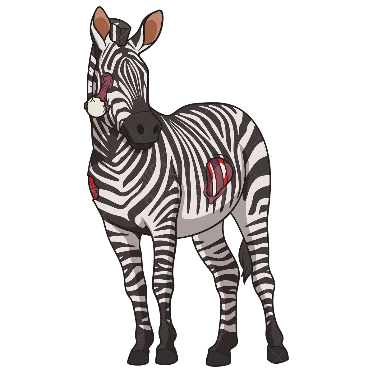 Royalty-free stock vector illustration of a creepy zombie zebra.