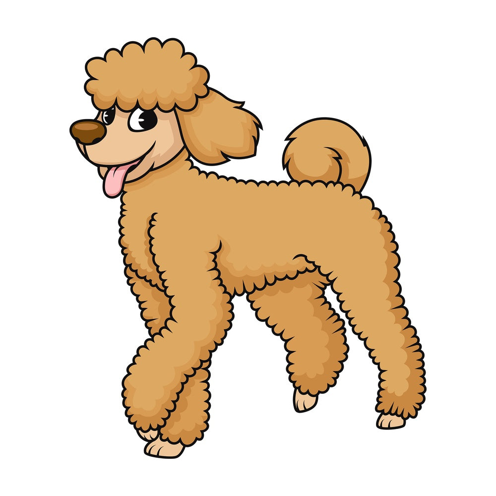 Cute brown poodle dog. PNG - JPG and vector EPS (infinitely scalable). Image isolated on transparent background.