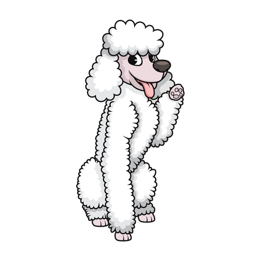 Playful white standard poodle. PNG - JPG and vector EPS (infinitely scalable). Image isolated on transparent background.