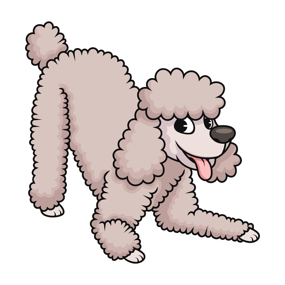 Happy cream poodle dog. PNG - JPG and vector EPS (infinitely scalable). Image isolated on transparent background.