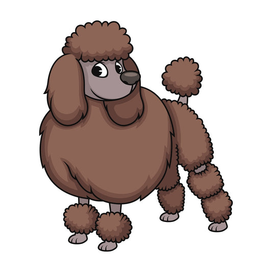 Stylish groomed poodle. PNG - JPG and vector EPS (infinitely scalable). Image isolated on transparent background.