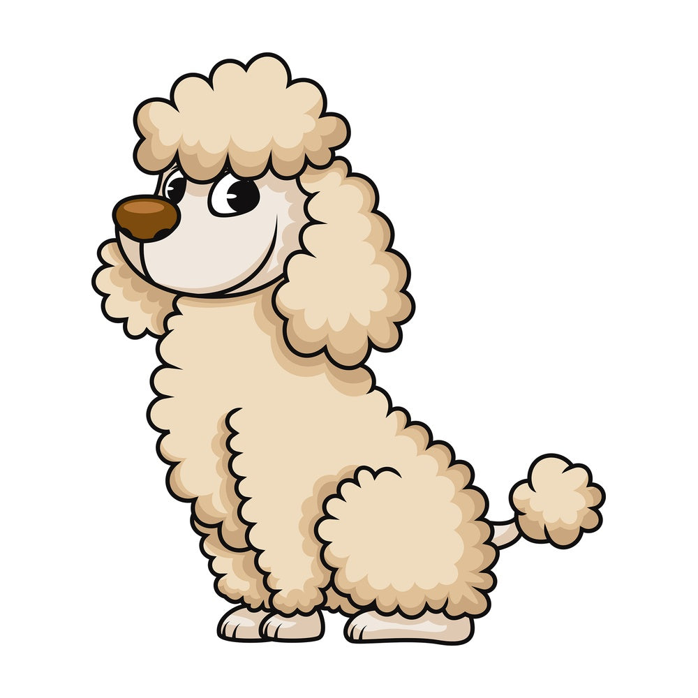 Cute miniature poodle. PNG - JPG and vector EPS (infinitely scalable). Image isolated on transparent background.