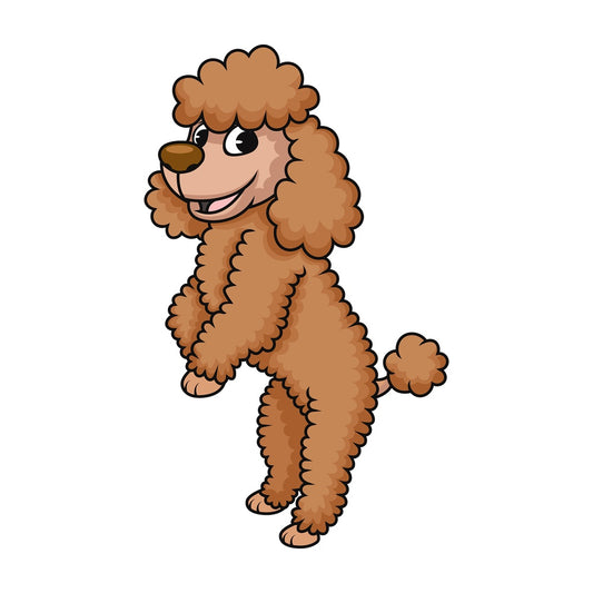 Frisky miniature poodle dog. PNG - JPG and vector EPS (infinitely scalable). Image isolated on transparent background.