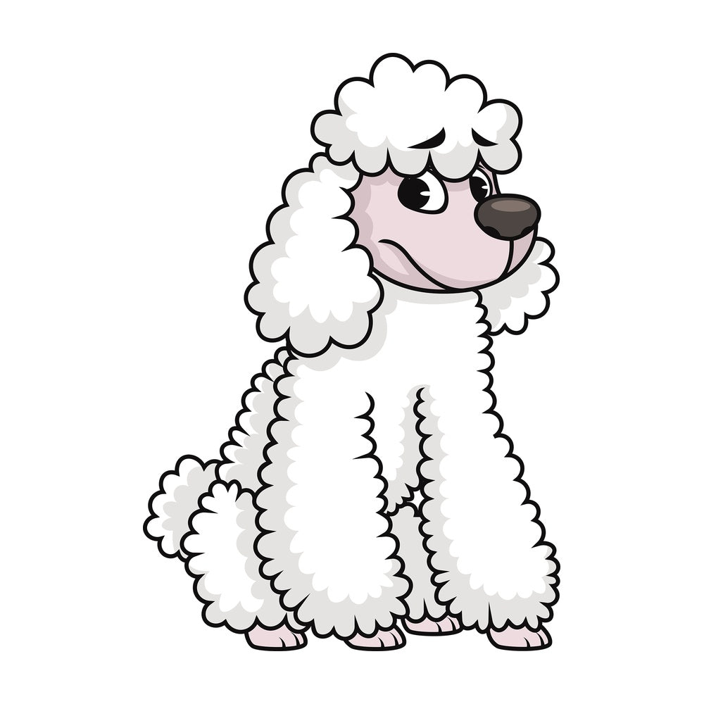 Sad poodle. PNG - JPG and vector EPS (infinitely scalable). Image isolated on transparent background.