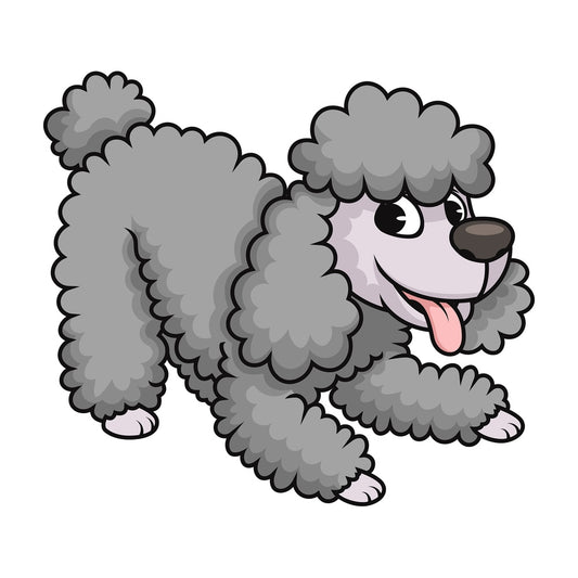 Happy miniature poodle dog. PNG - JPG and vector EPS (infinitely scalable). Image isolated on transparent background.