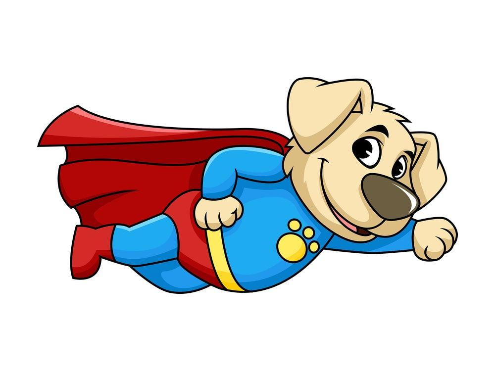 Character cartoon character dog superhero. PNG - JPG and vector EPS (infinitely scalable). Image isolated on transparent background.