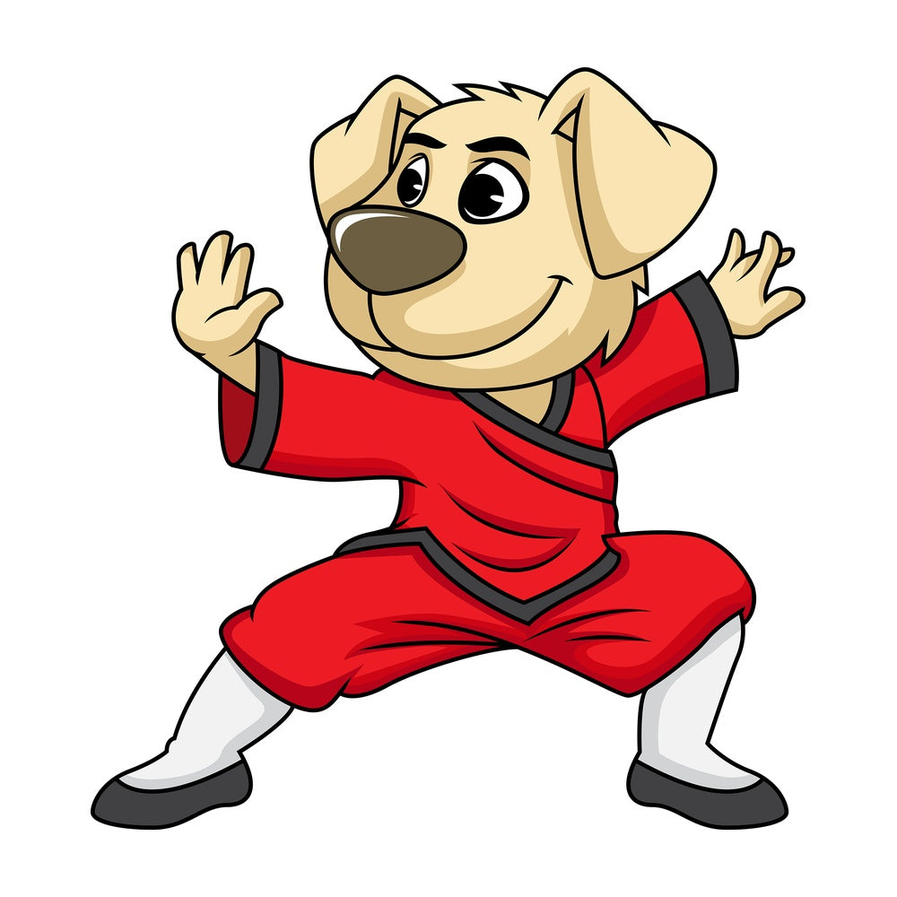 Dog cartoon character doing kung fu. PNG - JPG and vector EPS (infinitely scalable). Image isolated on transparent background.