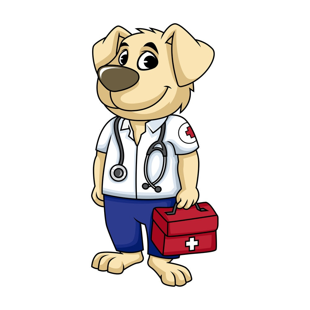 Dog paramedic. PNG - JPG and vector EPS (infinitely scalable). Image isolated on transparent background.