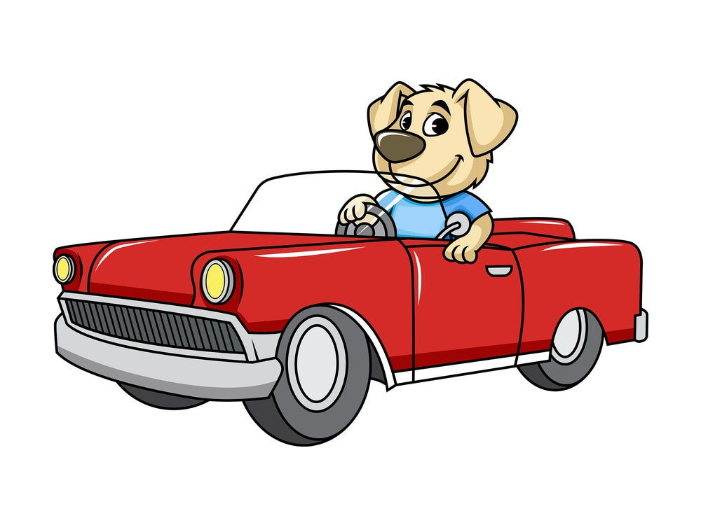 Dog character driving car. PNG - JPG and vector EPS (infinitely scalable). Image isolated on transparent background.