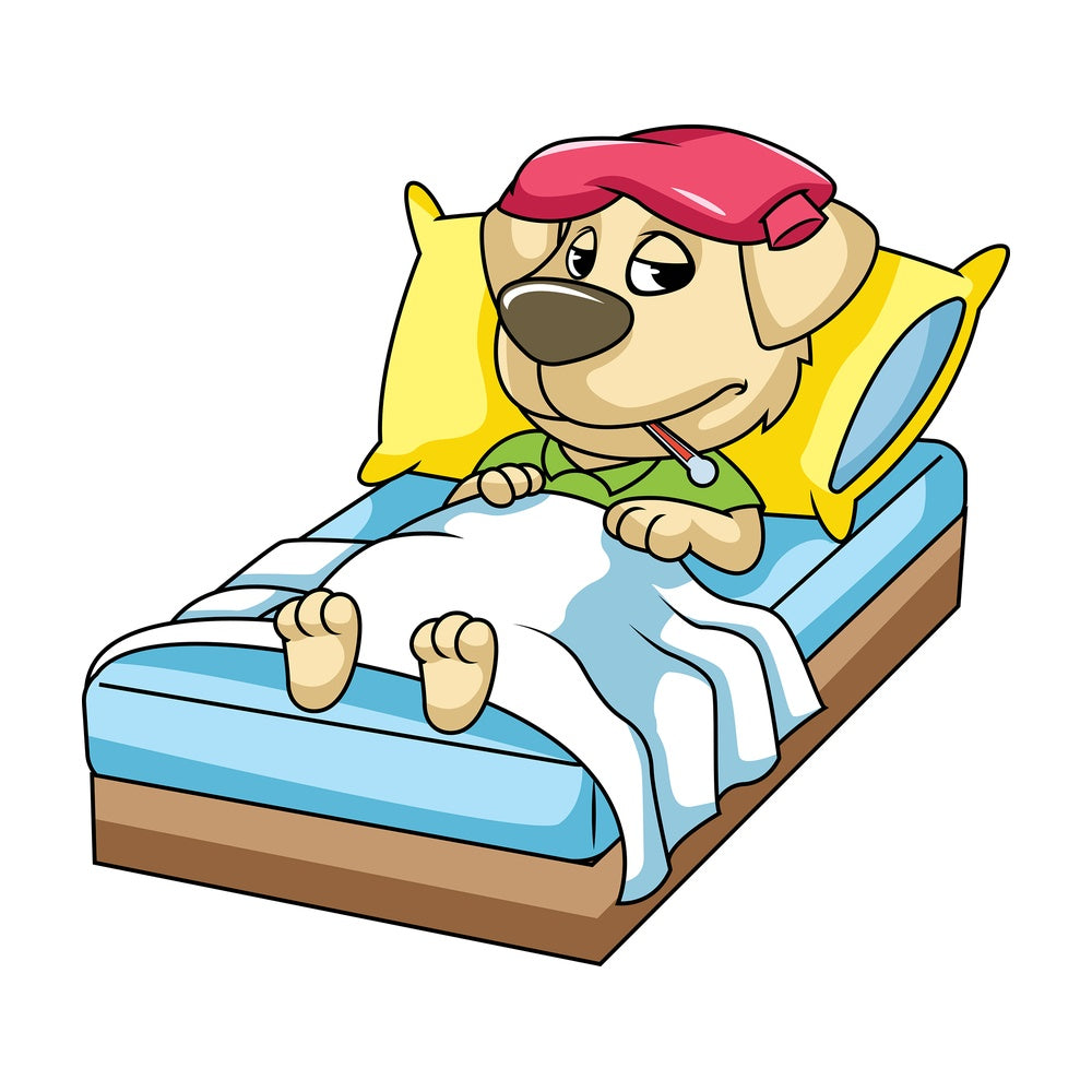 Dog character sick in bed. PNG - JPG and vector EPS (infinitely scalable). Image isolated on transparent background.