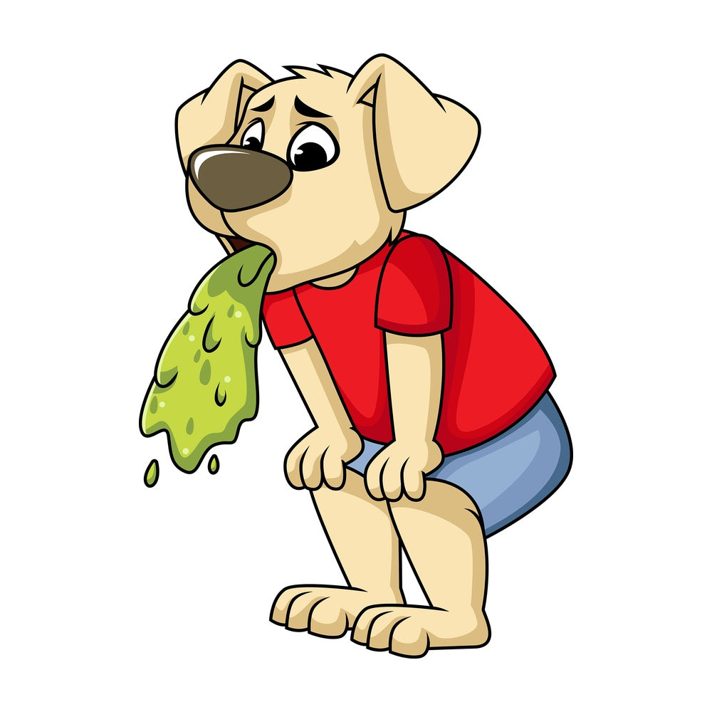 Dog character vomiting. PNG - JPG and vector EPS (infinitely scalable). Image isolated on transparent background.