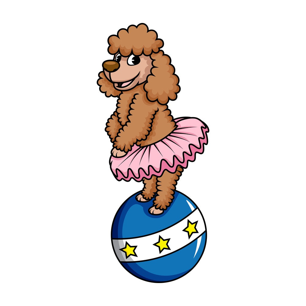 Circus dog ballerina on ball. PNG - JPG and vector EPS (infinitely scalable). Image isolated on transparent background.