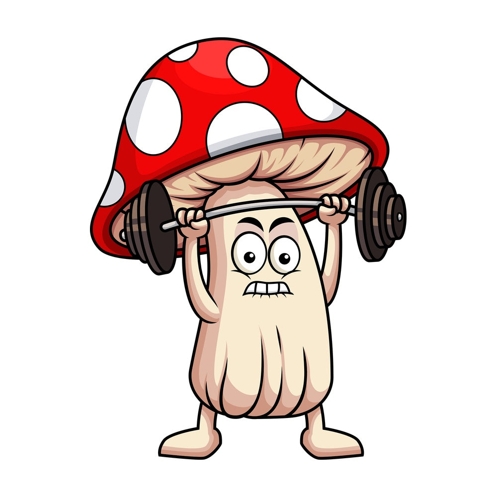 Mushroom cartoon character lifting weights. PNG - JPG and vector EPS (infinitely scalable). Image isolated on transparent background.