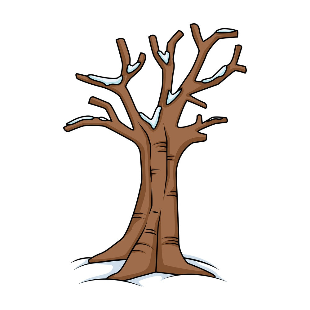 Leafless tree with snow on it. PNG - JPG and vector EPS (infinitely scalable).