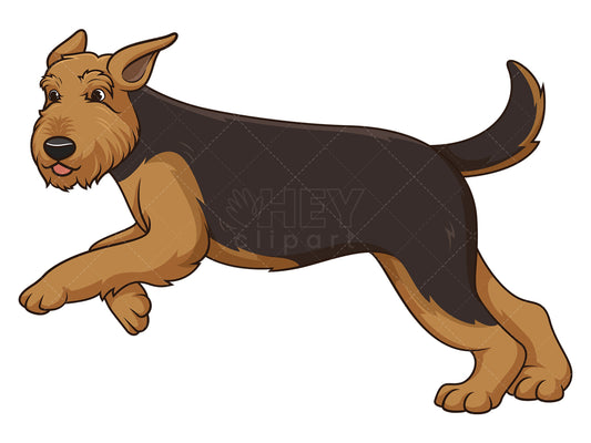 Royalty-free stock vector illustration of an airedale terrier running.