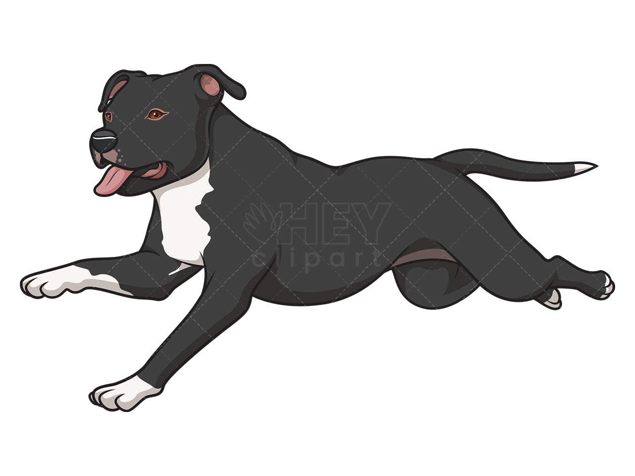 Royalty-free stock vector illustration of an american staffordshire terrier running.