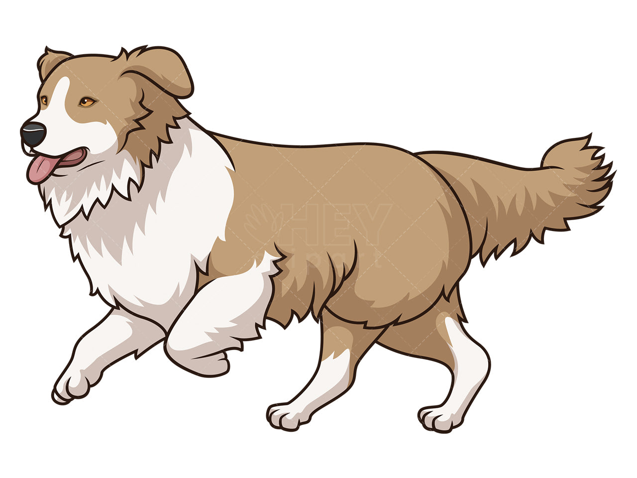 Royalty-free stock vector illustration of an australian shepherd running.