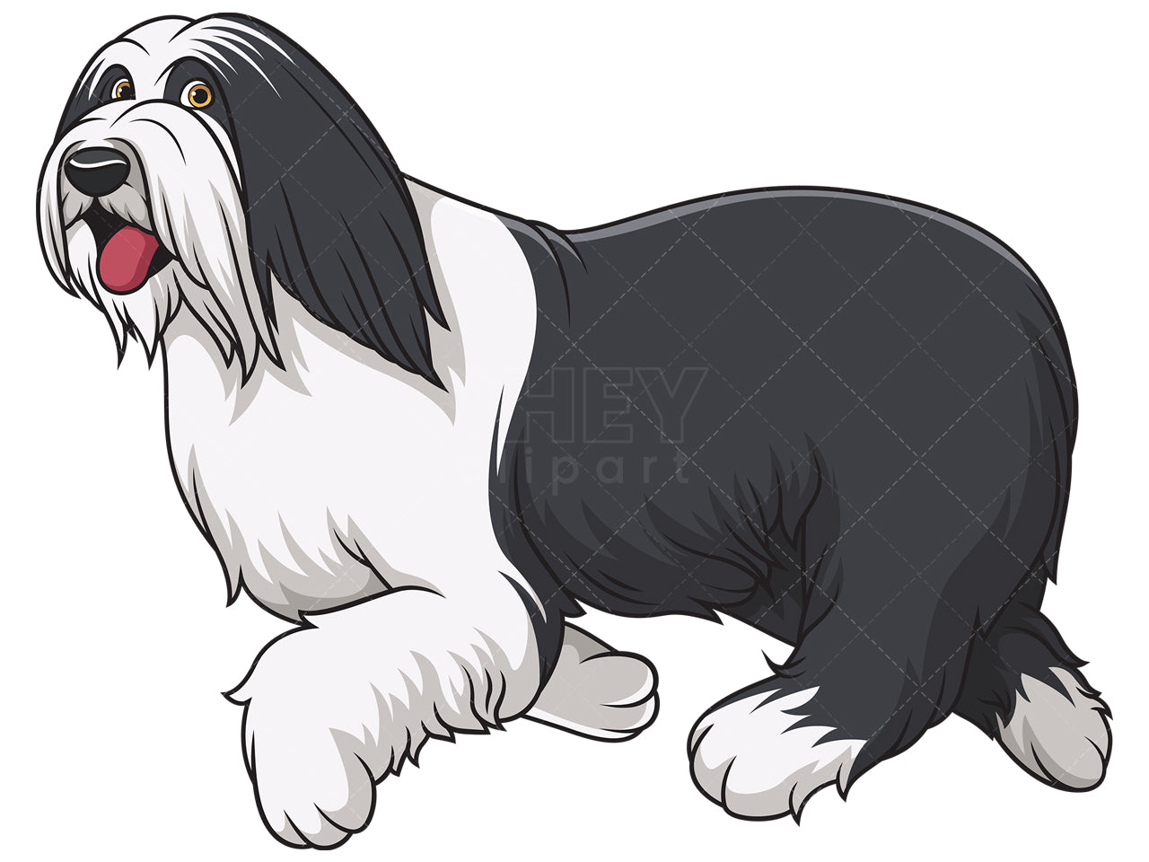 Royalty-free stock vector illustration of a bearded collie dog running.