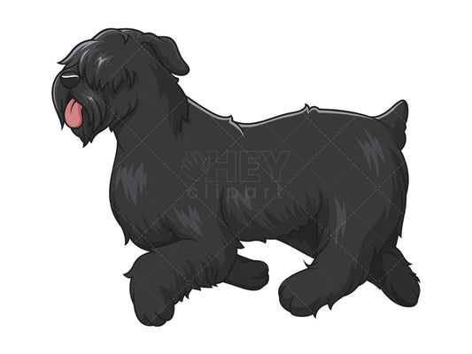 Royalty-free stock vector illustration of a black russian terrier running.
