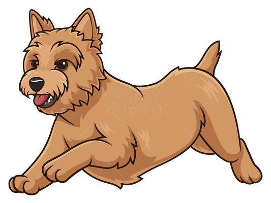 Royalty-free stock vector illustration of a cairn terrier running.