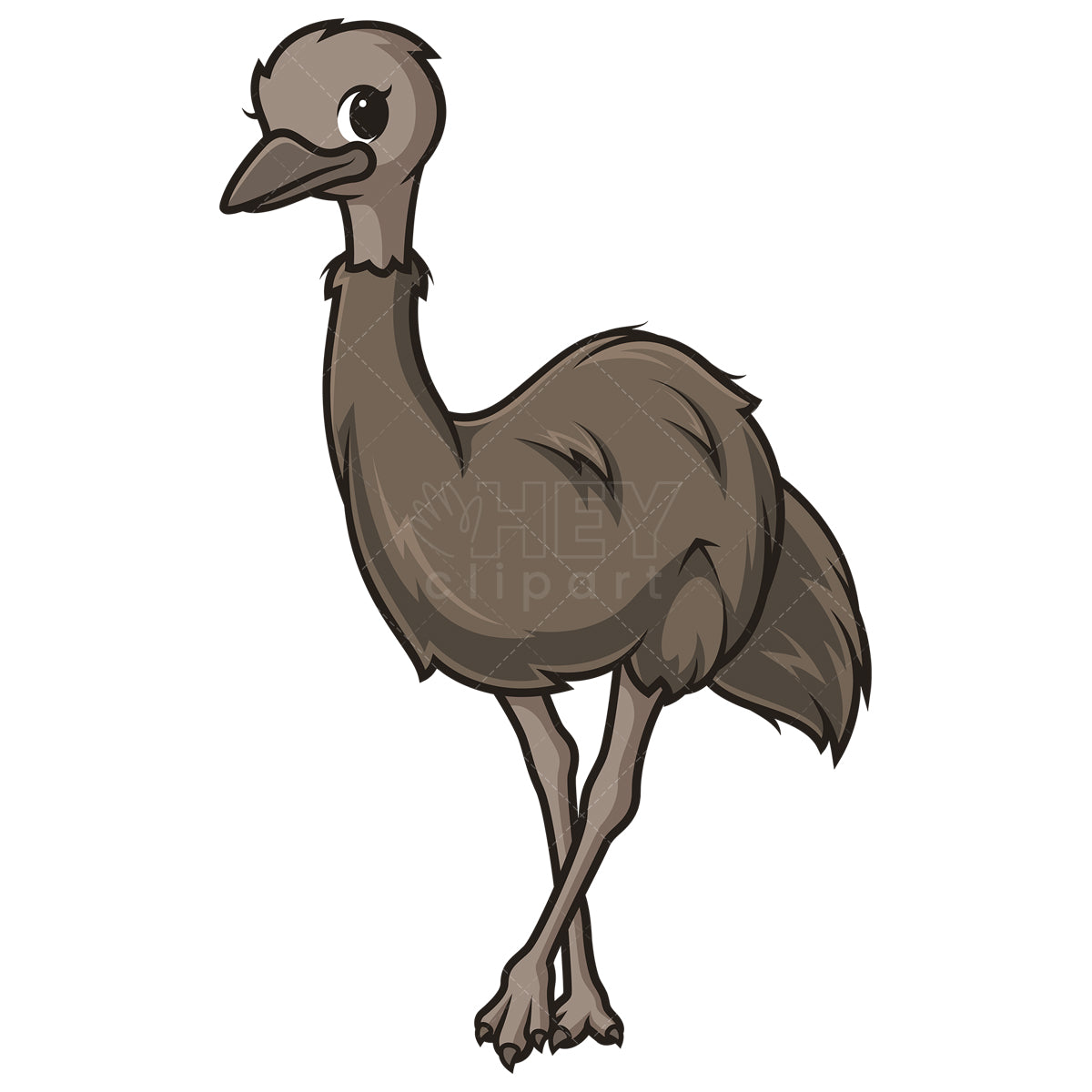 Royalty-free stock vector illustration of an emu in chibi kawaii style.