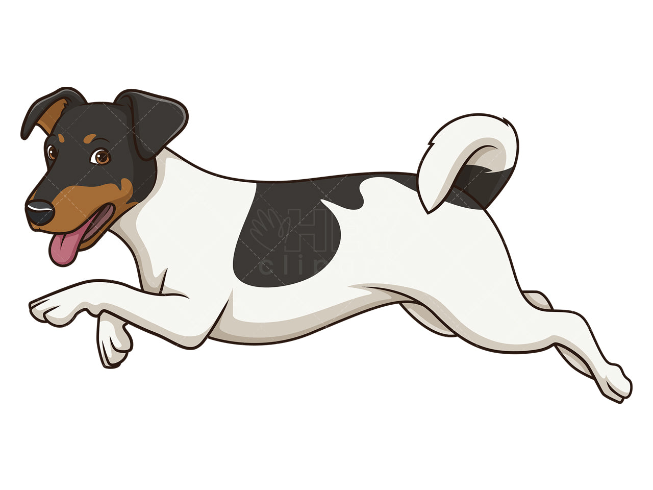 Royalty-free stock vector illustration of a jack russell dog running.