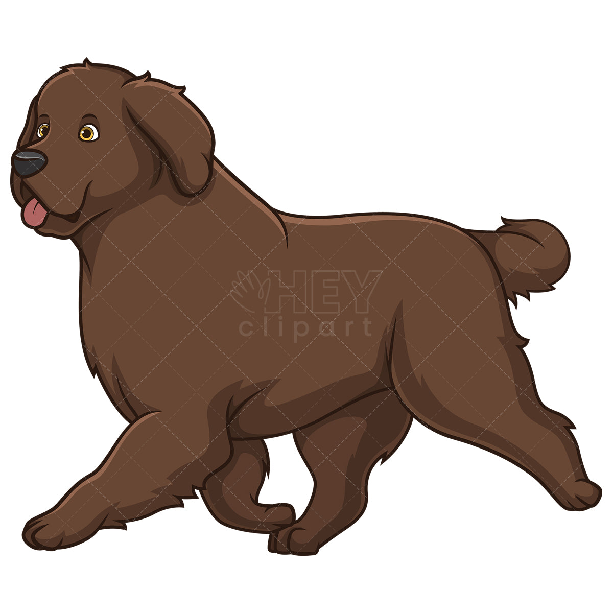 Royalty-free stock vector illustration of a newfoundland dog running.