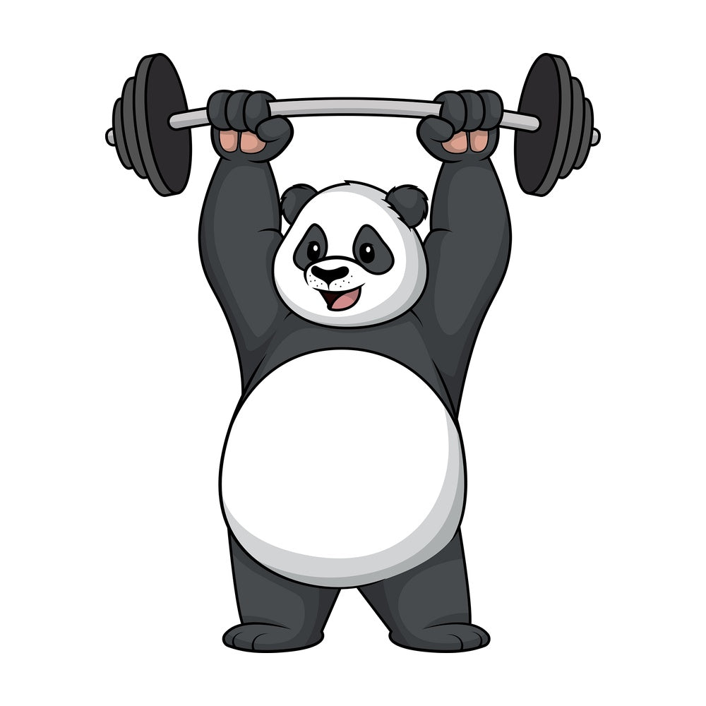 Panda lifting weights. PNG - JPG and vector EPS (infinitely scalable).