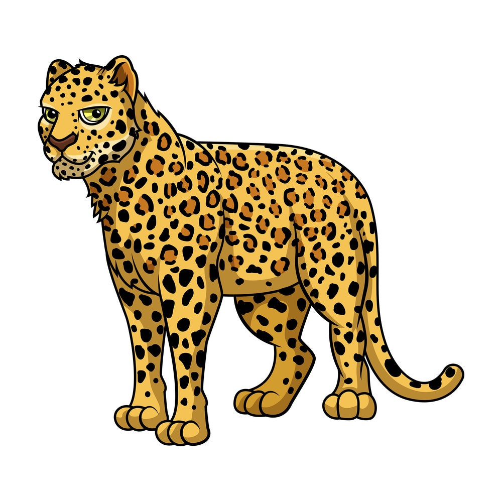 Wild leopard. PNG - JPG and vector EPS (infinitely scalable).