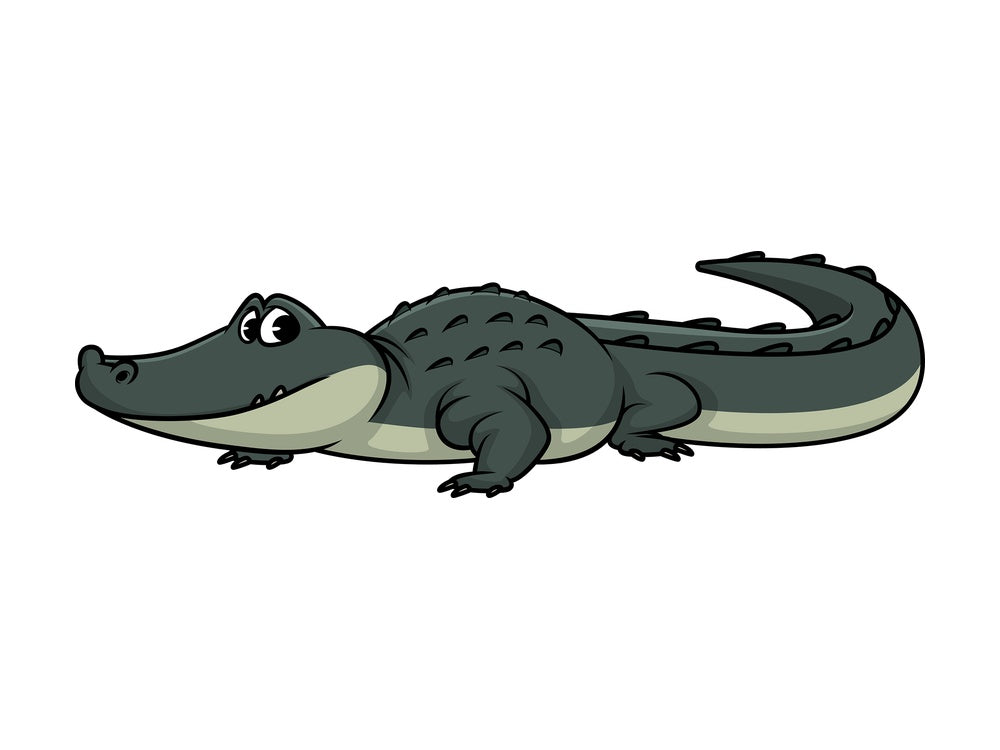 Wild alligator. PNG - JPG and vector EPS (infinitely scalable).