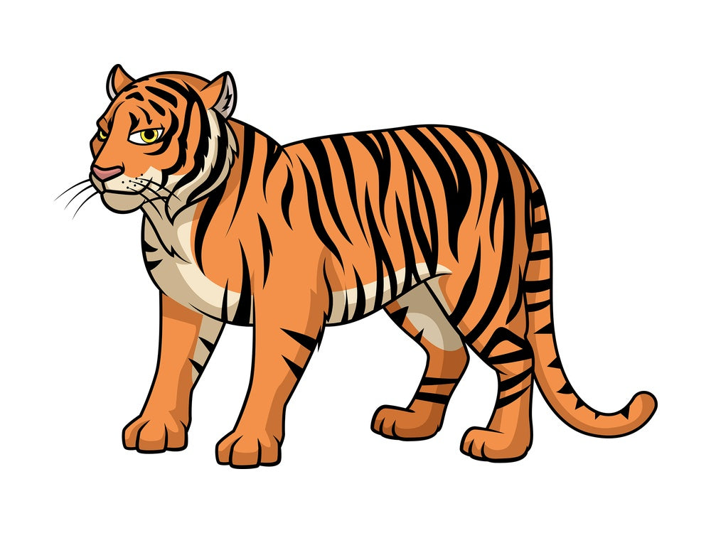 Wild bengal tiger. PNG - JPG and vector EPS (infinitely scalable).