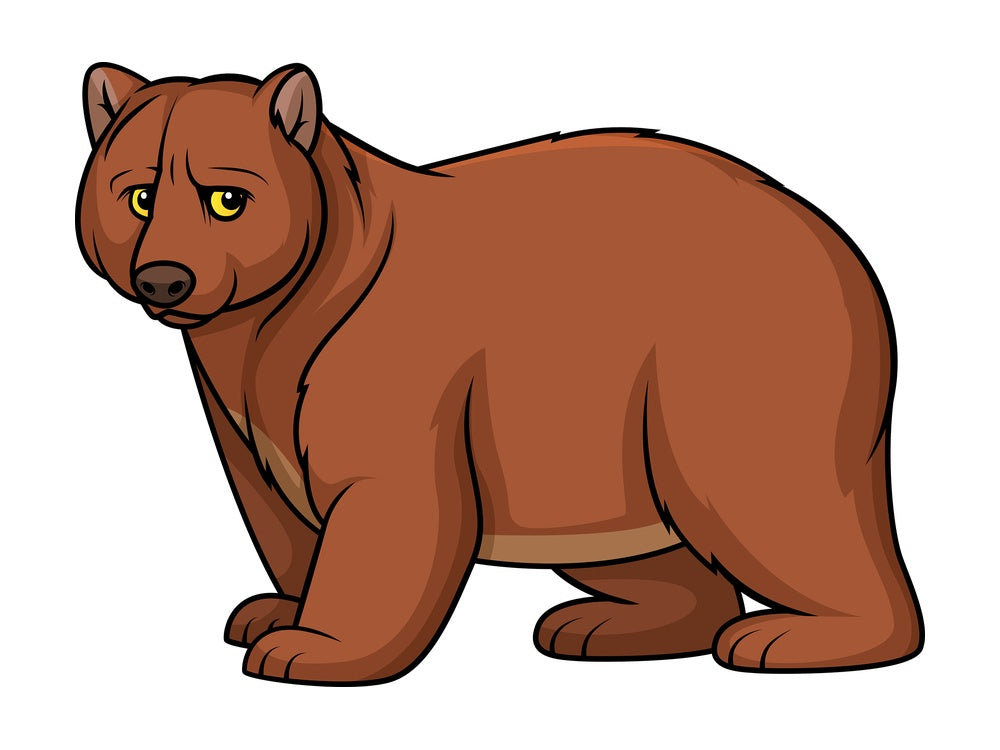 Wild bear. PNG - JPG and vector EPS (infinitely scalable).
