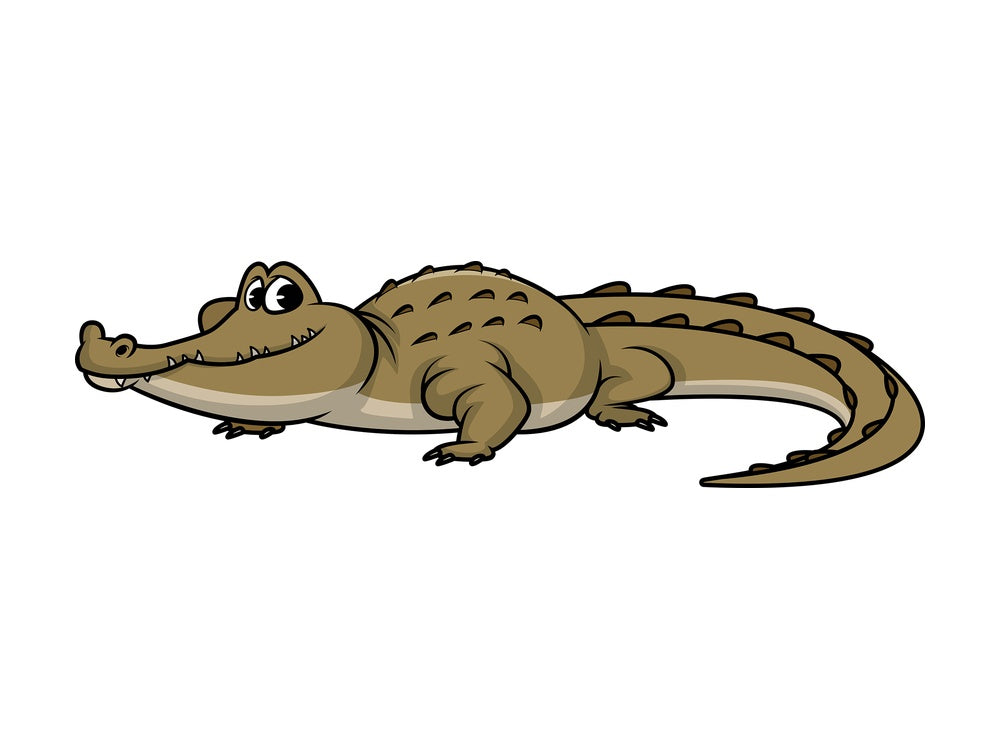 Wild crocodile. PNG - JPG and vector EPS (infinitely scalable).
