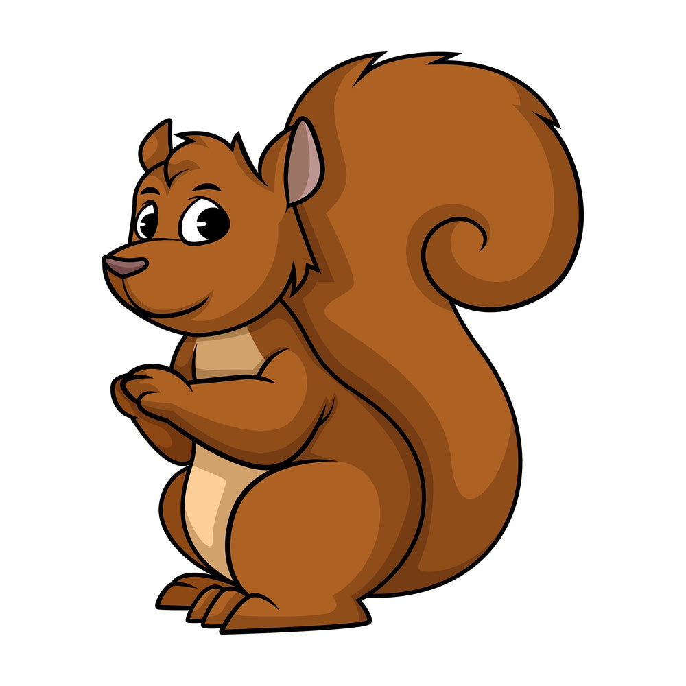Wild squirrel. PNG - JPG and vector EPS (infinitely scalable).