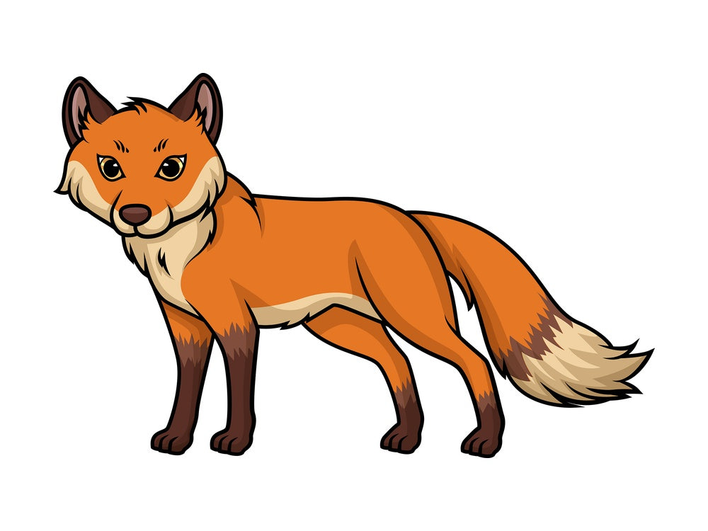 Wild fox. PNG - JPG and vector EPS (infinitely scalable).