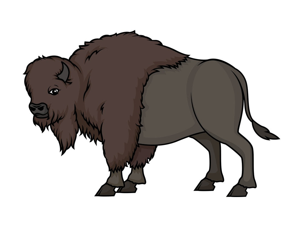 Wild buffalo. PNG - JPG and vector EPS (infinitely scalable).